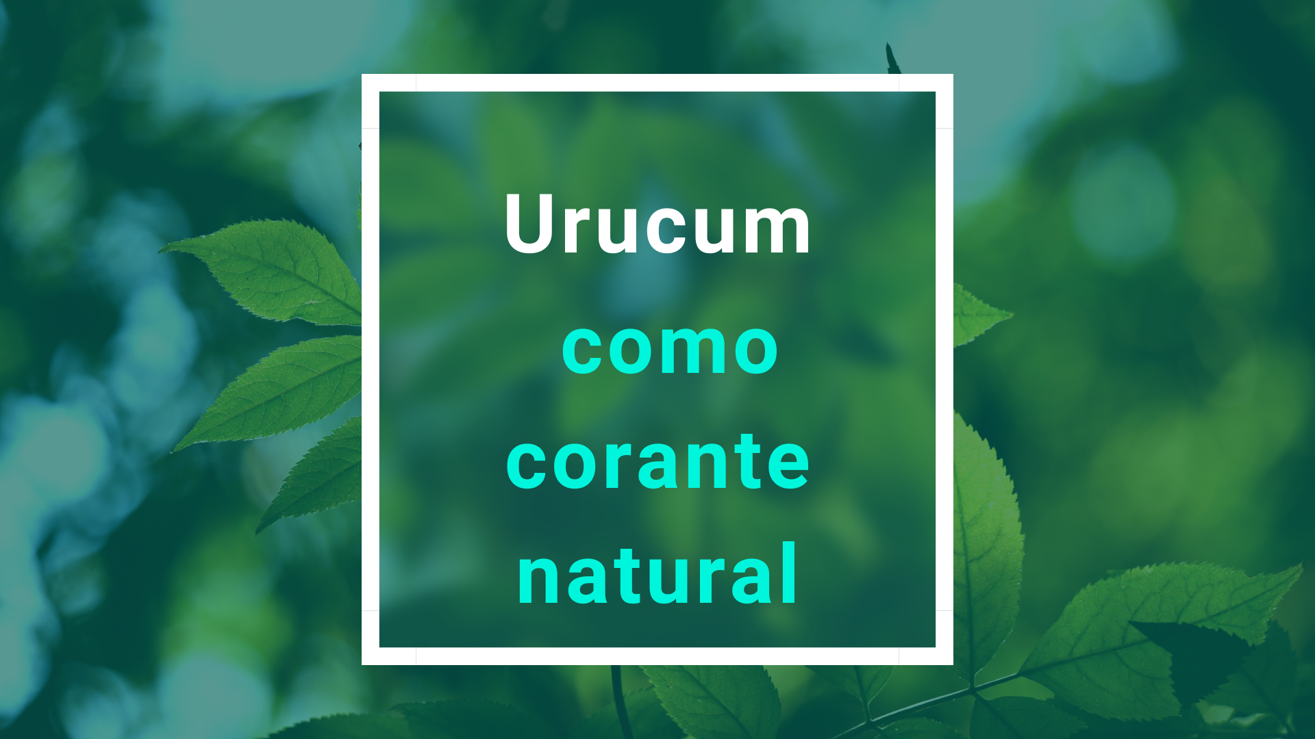 No momento, você está visualizando Urucum como corante natural