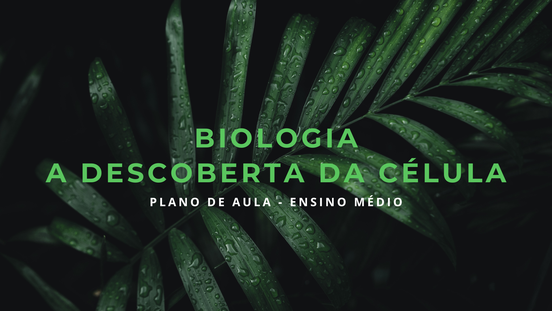 No momento, você está visualizando Biologia – A descoberta da célula (Plano de aula – Ensino médio)