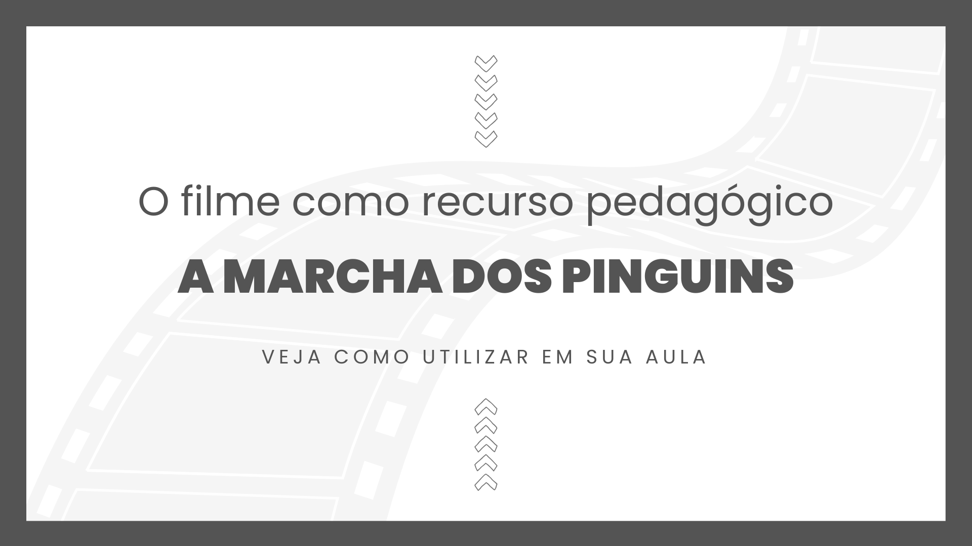 No momento, você está visualizando Filme: A Marcha dos Pinguins (2005)